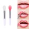Finrray Silicone Lip Brush Set - 2pcs Double-sided Lip Scrubber &amp; Balm Applicator Tools