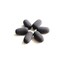 LINHUIPAD Microphone Covers - For Lightspeed Aviation Pilot Headset Mic Windshield Foam Sponge Windscreen Pack of 10 x