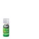 Rust-Oleum 1906830 Specialty Lacquer Spray, 6 Pack, Clear