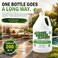 DeckMAX MAX Defender - Cleans &amp; Defends Against Stains Caused by Mold, Mildew, Algae &amp; Lichen On Outdoor Surfaces