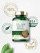 Carlyle Celery Seed Extract Capsules   240 Count