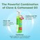 BugMD Refillable Empty Spray Bottle (32oz)