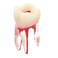 SEUJJRO 7Pcs Teeth Root Canal Model Endodontic File RCT Practice Pulp for Teaching Study