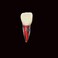 SEUJJRO 7Pcs Teeth Root Canal Model Endodontic File RCT Practice Pulp for Teaching Study