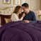 Utopia Bedding All Season 250 GSM Comforter - Plush Siliconized Fiberfill Comforters - Box Stitched (Plum, Queen)