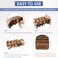 Diteje Puzzle Box, Magic Boxes Case Card Holders with Secret Hidden Compartment