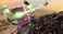 Warner Bros LEGO Marvel Super Heroes (Code in a Box) (Switch)