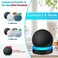 ZUOLACO Dot 4th Generation Table Holder, Desktop Stand Base Mount Bracket with Light Guide for Dot 4th Gen, Space-Saving Dot Accessories with Built-in Cable Management, Black