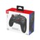 HORI SWITCH HORIPAD +