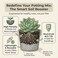 Doter Organic Perlite for All Plants (1 Quart)