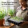 Doter Organic Perlite for All Plants (1 Quart)