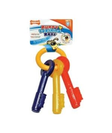 Nylabone Puppy Chew Teething Keys, Bacon Regular Nylon Chews