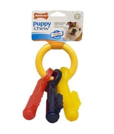 Nylabone Puppy Chew Teething Keys  Large