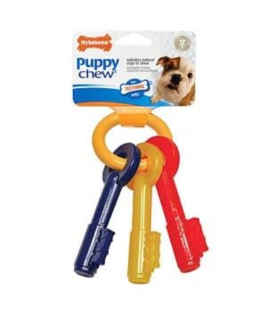 Nylabone Puppy Chew Teething Keys, Bacon Petite Nylon Chews