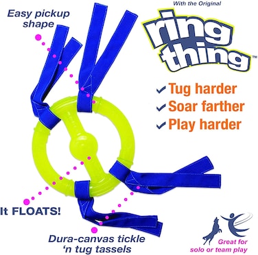 Nylabone Nyla Play Ring Thing 7in