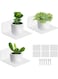 Acrylic Small Adhesive Wall Shelves, Mini Floating Shelves, Acrylic Display Shelves, Ledges For Pop Figures, Plant, Picture Photo Modern Wall For Bedroom Decor Living Room (3 Pcs 3.9" - White)