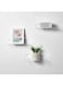 Acrylic Floating Shelves Stylish Storage for Bedroom, Bathroom and More (Damage-Free) Set of 2, 23X9.4X6.CM.