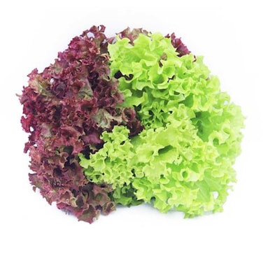 Lettuce Mix Hydrophonic 300g