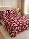 4-Piece Printed Cotton Bedsheet Set Single Size, 100% Cotton 125 GSM with Fitted Sheet, Flat Sheet &amp; 2 Pillowcases