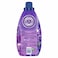 Comfort  Concentrate Fabric Softener,  Lavender &amp; Magnolia,  9x fragrance, 1L