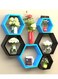 Wooden Twist Hexagonal Shape Wooden Floating Wall Shelves (Set of 6)