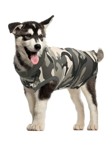 Dog Recovery Suit Anti-Licking Dog Onesie After Surgery Wound Protection Comfy and Stylish Dog Recovery Suit for Post Surgery Care M