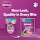 Whiskas Junior Tuna in Jelly, Wet Kitten Food Pack of 24x80g
