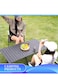 Manful Portable Folding Camping Table