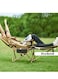 Manful Deluxe Reclining Camping Chair With Footrest And Cup Holder