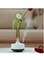 Xinzhen Cool Mist Humidifier For Home, Adjustable Mist Levels, Perfect For Bedrooms And Nurseries, Easy To Clean