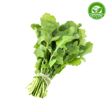 Organic Rocket