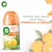 Air Wick Automatic Air Freshener Spray Refill, Sparkling Citrus Scent, 250ml Pack of 3