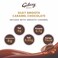 Galaxy Minis Caramel Chocolate Bars, 266g