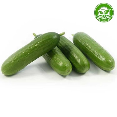 Organic Snack Cucumber 250g