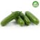 Organic Snack Cucumber 250g