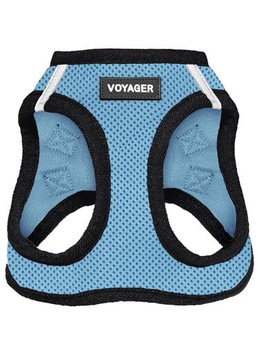 Best Pet Supplies Voyager Step-in Air Dog Harness - All Weather Mesh Step in Harness for Small and Medium Dogs and Cats - Harness (Baby Blue/Black Trim), XX-Small