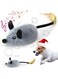 Aputue Interactive Cat Toys Mouse, Rechargeable Automatic Moving Mouse Cat Toy, Moving Mouse Squeak Toys Fun Cat Toy with Lights and Sounds, Mice Indoor Toys for Small, Medium, Large Cat and Dog