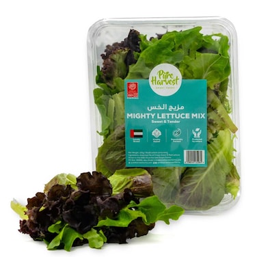 Pure Harvest Mighty Lettuce Mix Salad 125g