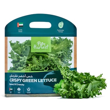 Pure Harvest Crispy Green Lettuce 125g