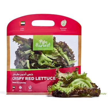 Pure  Harvest  Crispy  Red  Lettuce 125g
