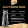 Sheba Cat Food Flavor Selection Filets, Mix of 60g Domes (Pack of 32)