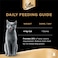 Sheba Filets Selection in Gravy Wet Food for Cats, 60g Pack of 4