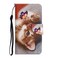 Case Cover Painted Pattern Horizontal Flip Leather Case with Holder &amp; Card Slot &amp; Wallet For iPhone 11 Pro Max(Butterfly Cat)