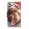 Case Cover Painted Pattern Horizontal Flip Leather Case with Holder &amp; Card Slot &amp; Wallet For iPhone 11 Pro Max(Butterfly Cat)
