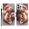 Case Cover Painted Pattern Horizontal Flip Leather Case with Holder &amp; Card Slot &amp; Wallet For iPhone 11 Pro Max(Butterfly Cat)