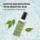 Deep Green Tea Lotion