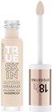 Catrice True Skin High Cover Concealer, No. 002, Nude, Anti-Pimple, Moisturising, Natural, For Dry Skin, Vegan, Oil-Free, Waterproof, Alcohol-Free, Pack Of 1 (4.5ml)