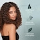 Hair Solutions -: Refresh Next Day Styling Spray (240ml)
