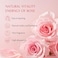 Dermalogy By Neogenlab Neogen Hyal Glow Rose Essence - Hydrating Essence With 74% Of Damask Rose Water Damask Rose Flower Oil &amp; Damask Rose Extract 160ml / 5.41 Oz