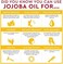 Desert Essence 100% Pure Jojoba Oil - 4 Oz - Moisturizes Body Skin &amp; Cleanses Clogged Pores -Nourishes Hair And Scalp - Hair Care &amp; Skincare Essential Oil - Suitable For Sensitive Skin